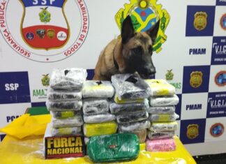Em ação da Base Arpão, polícia apreende drogas armazenadas em embalagem de sabão em pó