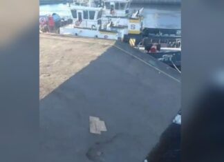 Cais da Torre no Porto de Manaus naufraga, veja o vídeo