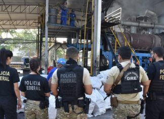 PF incinera aproximadamente 1,3 toneladas de entorpecentes no Amazonas