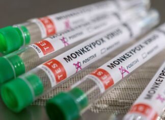 Saúde confirma sétimo caso de varíola dos macacos no país