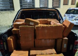 Polícia Federal, em ação conjunta, realiza prisão em flagrante e apreende mais de 600 quilos de maconha