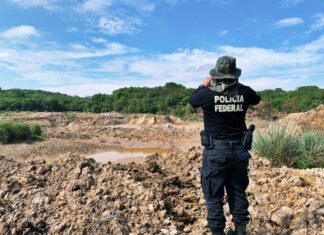 Operação Donos da Terra combate desmatamento e garimpos ilegais em terra indígena