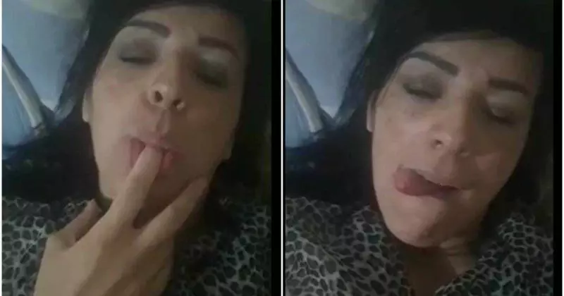 pastora-800x420.webp