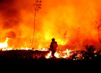 França se prepara para recordes de calor e incêndios florestais