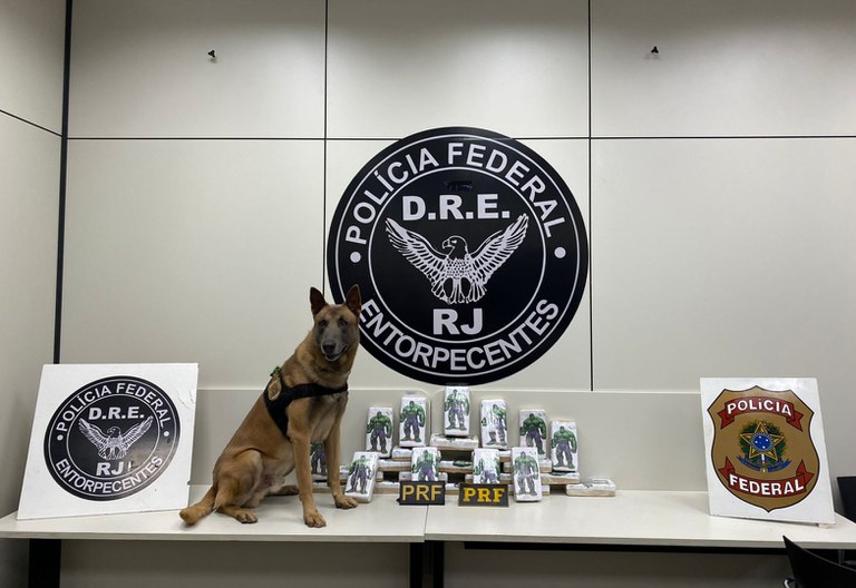 5b00d1e6-73bc-47fe-996a-813dc0fd18fb