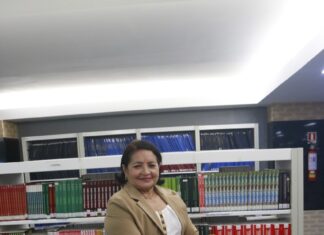 Artigo professora Maria Auxiliadora- Os Heróis do Suas