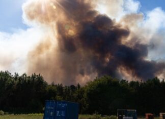 Incêndios florestais atingem França e Espanha com ondas de calor pela Europa