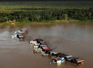 MPF investiga retorno de balsas de garimpo ilegal no rio Madeira