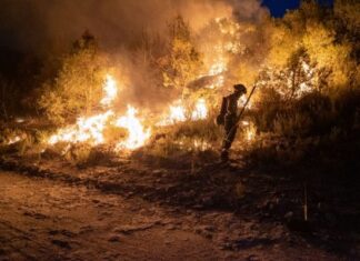 Espanha ultrapassa 500 mortes por onda de calor