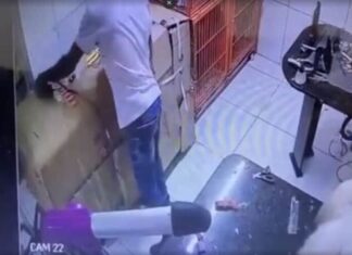 Homem que enforcou e matou cachorro em pet shop tem prisão mantida