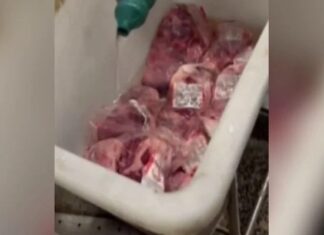 Funcionários de mercado jogam cloro em carnes com larvas
