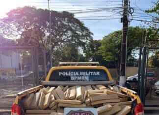 PF apreende carreta carregada com 475kg de maconha