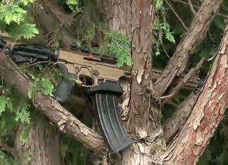 Exército abre investigação sobre registro de atirador concedido a integrante do PCC