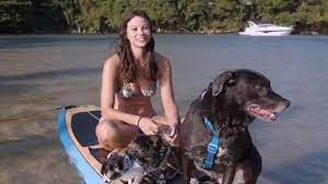 Minidocumentário sobre histórias reais de amor e cuidados entre pets e tutores é lançado na National Geographic