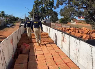 Polícia encontra 12 toneladas de maconha em caminhão que transportava tijolos