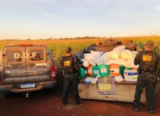 Polícia apreende carga milionária de agrotóxico ilegal na fronteira com Paraguai