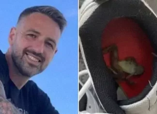 Esposa afirma que chulé do marido matou um sapo: ‘sufocado’