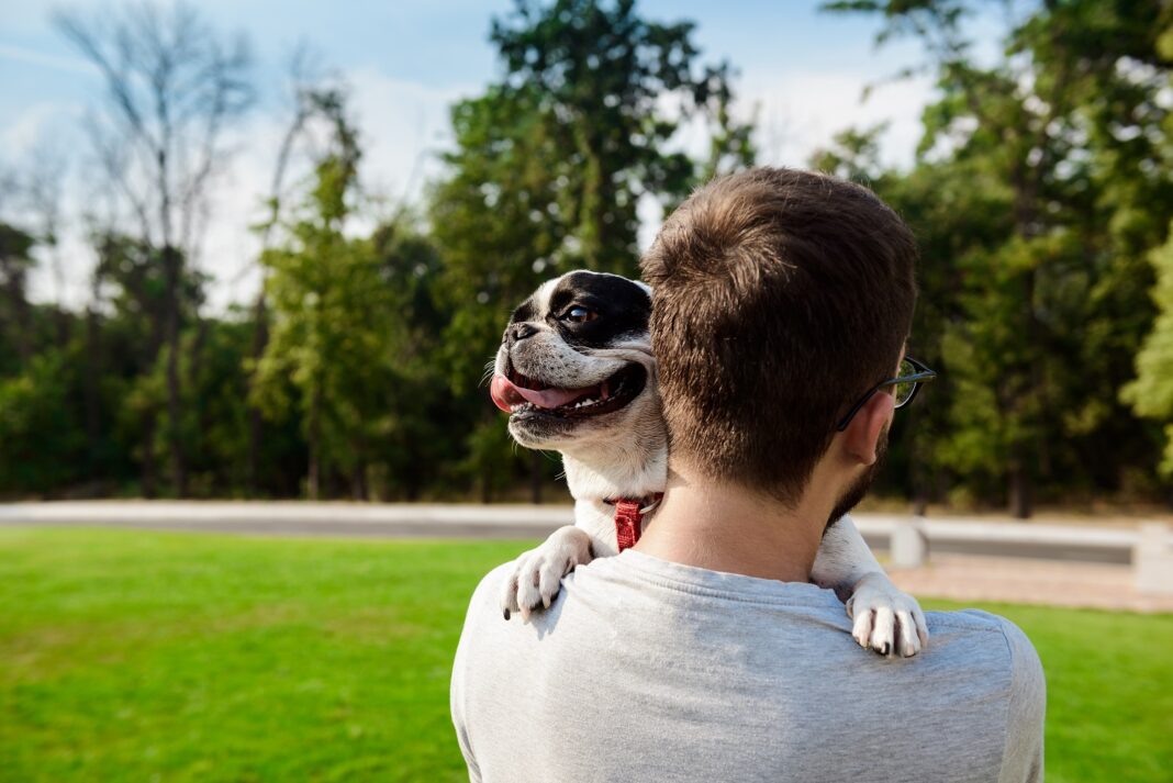 Handsome man holding French bulldog, walking in park.