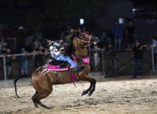 Shows e torneios esportivos são destaque na programação da Feira da Nilton Lins