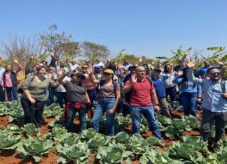 Programa Nacional de Alimentação Escolar (PNAE) do Brasil é referência em Programa de Cooperação Internacional