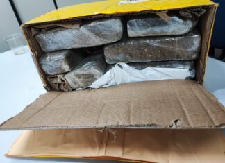 PF apreende cerca de 6 kg de maconha e diversos comprimidos de ectasy