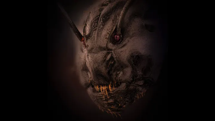 ant-face