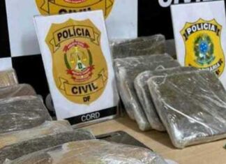 Polícia apreende 60 quilos de ‘supermaconha’ avaliados em R$ 3,6 milhões