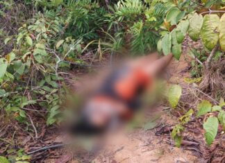 Corpo de mulher é encontrado com marcas de tortura na zona sul de Manaus