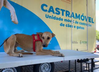Castramóvel do Governo do Estado atinge marca de 10 mil castrações realizadas