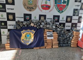 SSP-AM apreende 233 quilos de skunk em ação conjunta com Polícia Rodoviária Federal