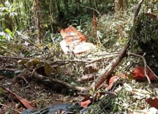 Avião da FAB desaparecido em SC é encontrado com duas pessoas mortas