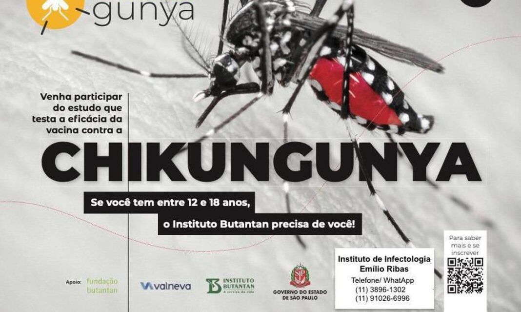 chikungunya (1)