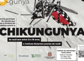 Instituto recruta voluntários para teste de vacina contra chikungunya