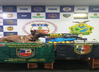 Em barco, cão policial encontra drogas escondidas em mala e três pessoas são presas