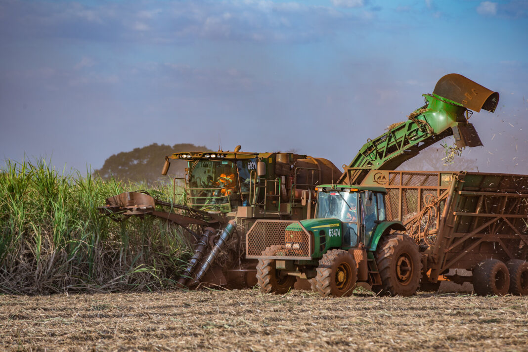 Agriculture images from Tropical BioEnergia - releases on file