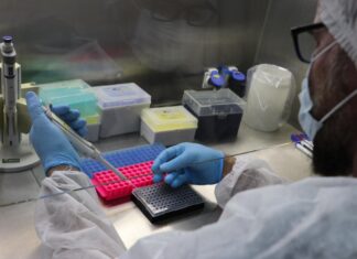 Saúde atualiza boletins da Covid-19, Mpox e vacinação nesta quinta-feira