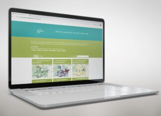 Amazonas ganha plataforma georreferenciada com mapas e dados sobre educação e trabalho