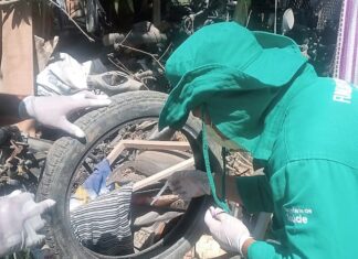 Saúde do Amazonas alerta para prevenção a doenças transmitidas pelo Aedes aegypti