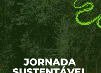Entidades organizam maior plantio de árvores de Brasília com mais de 1000 mudas de espécies do cerrado
