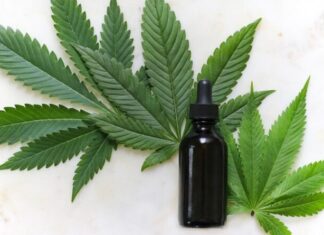 Luta social de muitas famílias, uso da Cannabis Medicinal movimenta a economia e mercado pode avançar em 2023