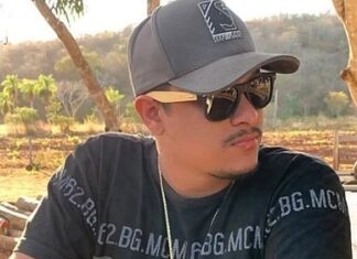 Jovem de 20 anos morre atacado por abelhas após carro capotar