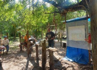 Idam realiza curso de boas práticas de extração de látex no Sul do Amazonas