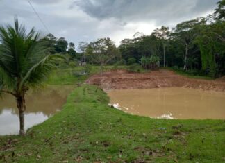 Em Benjamin Constant, equipe do Idam realiza visita técnica em fazenda de piscicultura