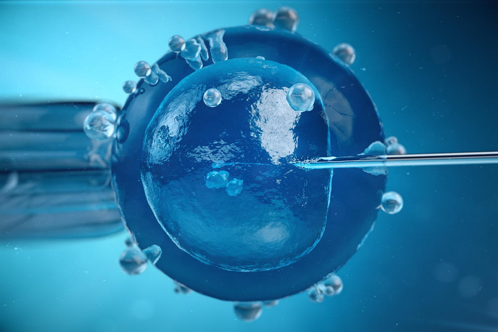 3d illustration artificial insemination, fertilisation, Injecting sperm into egg cell. Assisted reproductive treatment.