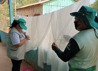 Malária: Amazonas fecha 2022 com menor número de casos da doença dos últimos quatro anos