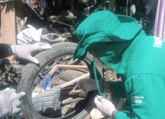 Arboviroses: Saúde atualiza cenário da dengue no Amazonas em informativo epidemiológico nesta quinta-feira