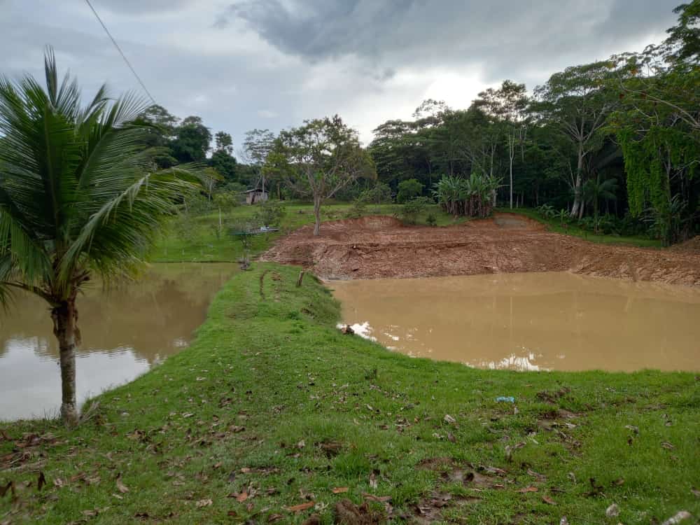 Fazenda de Piscicultura_Divulgação IDAM