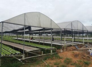 TARIFA RURAL: conheça como ter direito ao benefício