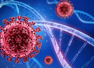 Brasil registra 100 mortes por Covid-19 nas últimas 24 horas