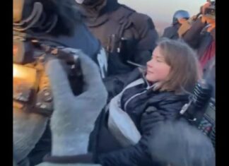 Israel deporta Greta Thunberg e outros 170 ativistas de flotilha, desocupados da extrema-esquerda do Brasil continuam detidos